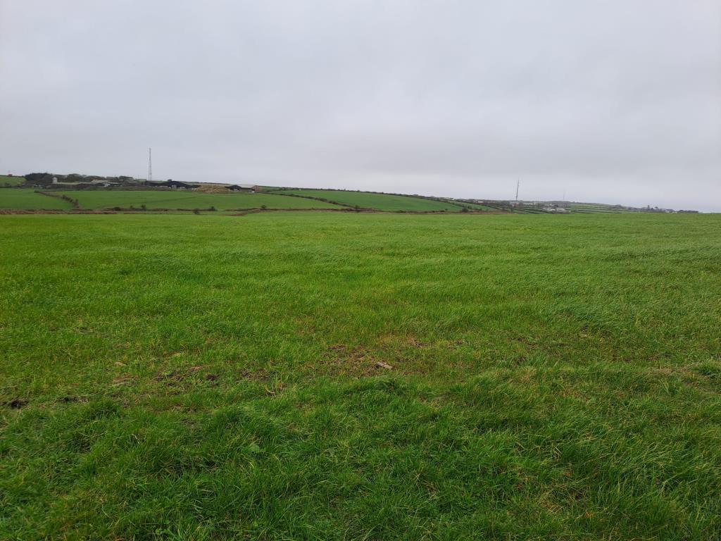Lot: 25 - APPROXIMATELY THIRTEEN ACRES OF AGRICULTURAL LAND - View across grass field